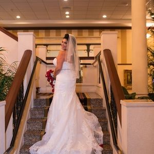 Wedding Dress and Veil